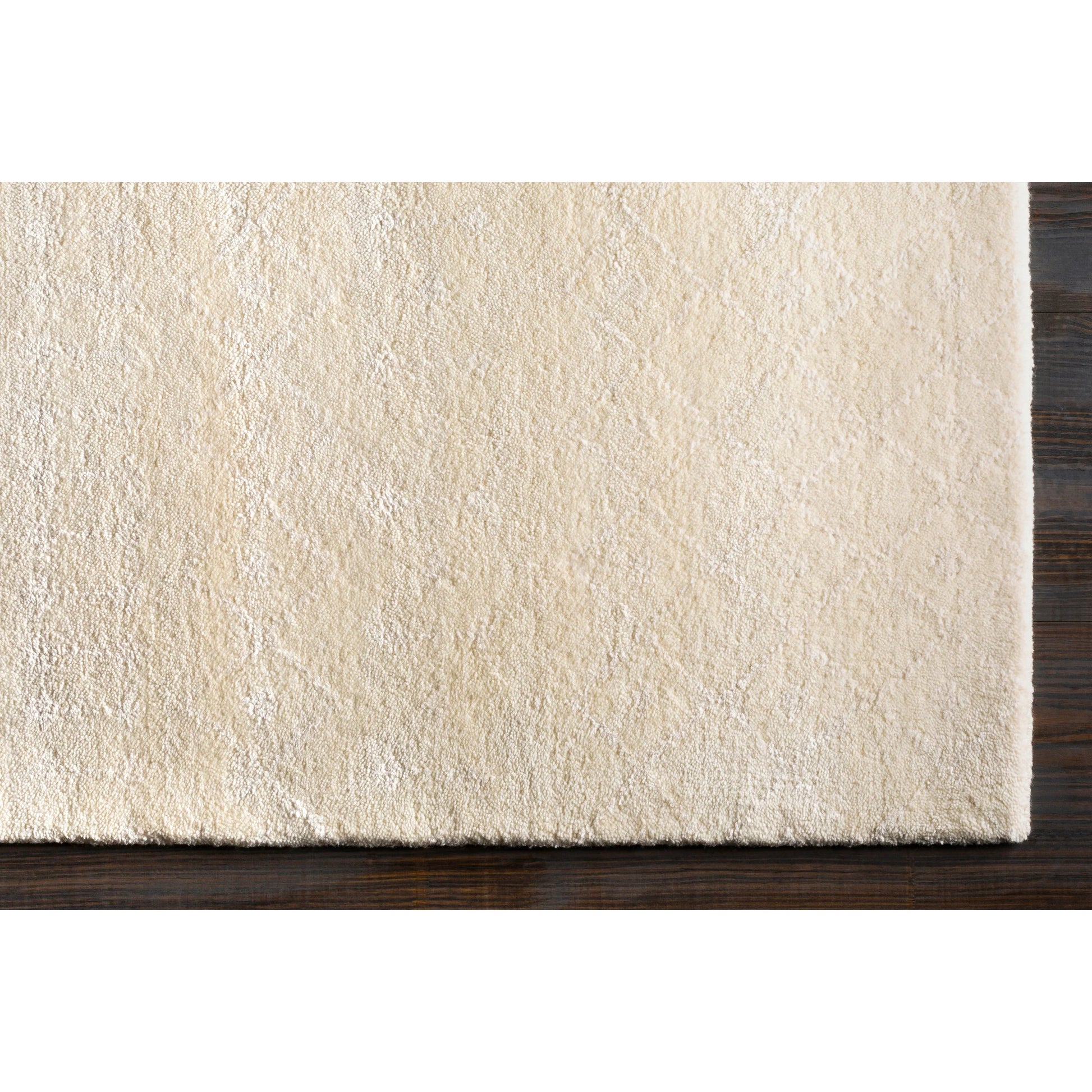 Casa CAA-2300 Rug by Surya in ivory, cream. Made from 70% new zealand wool, 30% viscose in a unique style.