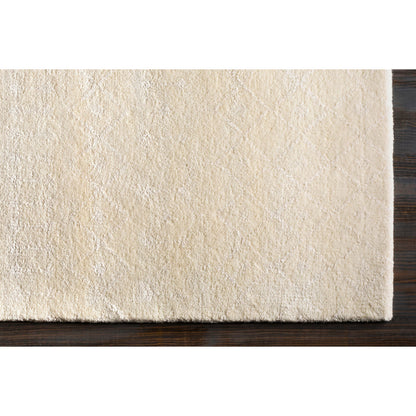Casa CAA-2300 Rug by Surya in ivory, cream. Made from 70% new zealand wool, 30% viscose in a unique style.