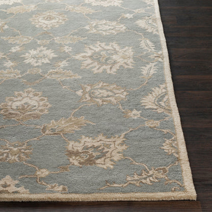 Caesar Rug - 12916 by Surya in medium gray, ivory, olive, brown. Made from 100% wool in a unique style.