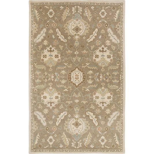 CAE-1167 Rug by Surya in ivory, olive, tan. Made from 100% wool in a unique style.