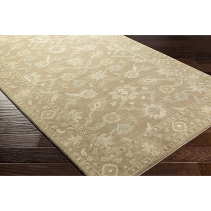 CAE-1181 Rug by Surya in oatmeal, brown, sage, medium gray. Made from 100% wool in a unique style.