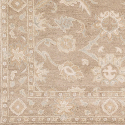 CAE-1181 Rug by Surya in oatmeal, brown, sage, medium gray. Made from 100% wool in a unique style.