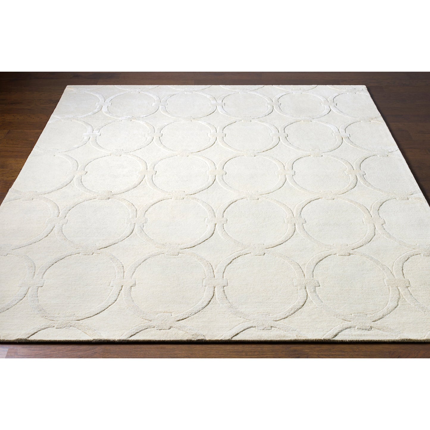 006 22307-9712,22307-9715 | Closeup | Modern Classics Rug - 412 by Surya in light beige. Made from 100% new zealand wool in a unique style.