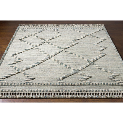 Cadiz Rug - 29475 by Surya in medium gray, dark brown, ivory, medium brown. Made from 100% wool in a unique style.