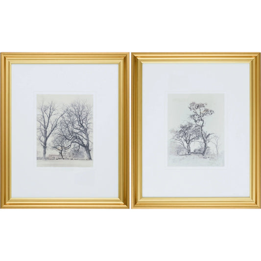 Coconino Framed Art (Set of 2) by Surya in gray, white and gold. Made from canvas, polystyrene in a unique style.