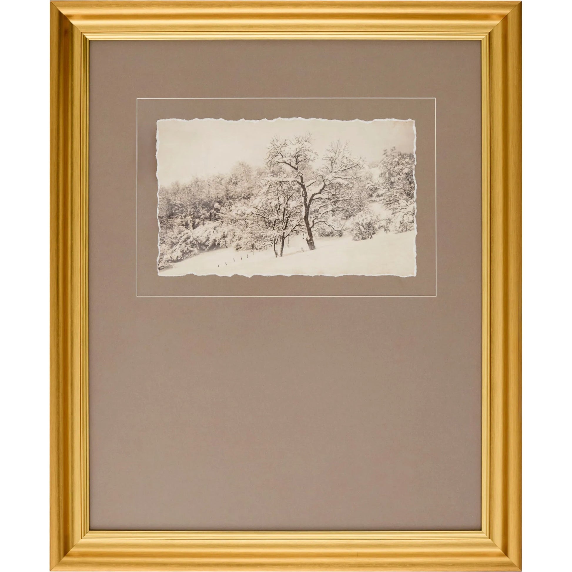 Coconino Framed Art by Surya. Made from canvas, polystyrene in a modern style.