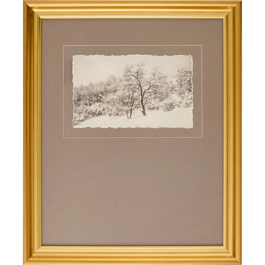 Coconino Framed Art by Surya in gray, white and gold. Made from canvas, polystyrene in a unique style.