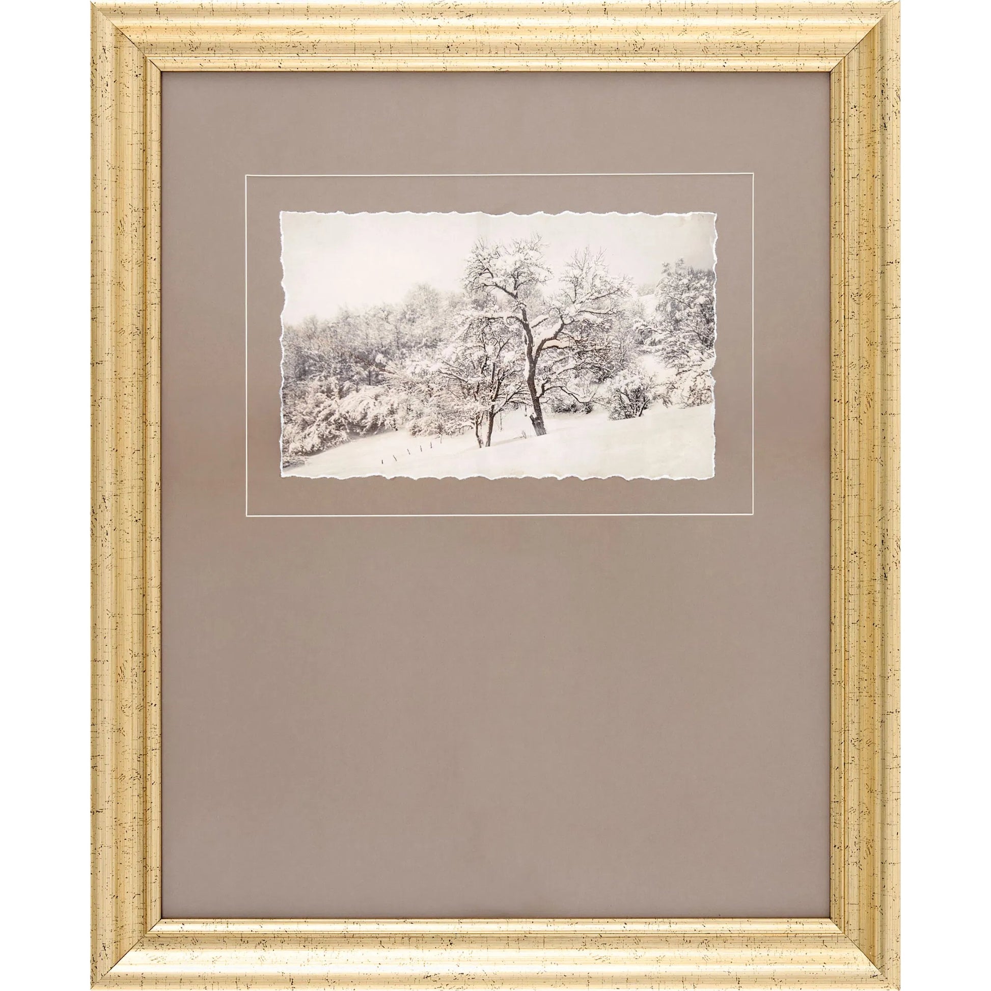 Coconino Framed Art by Surya. Made from canvas, polystyrene in a modern style.
