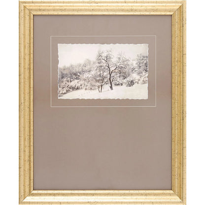 Coconino Framed Art by Surya. Made from canvas, polystyrene in a modern style.