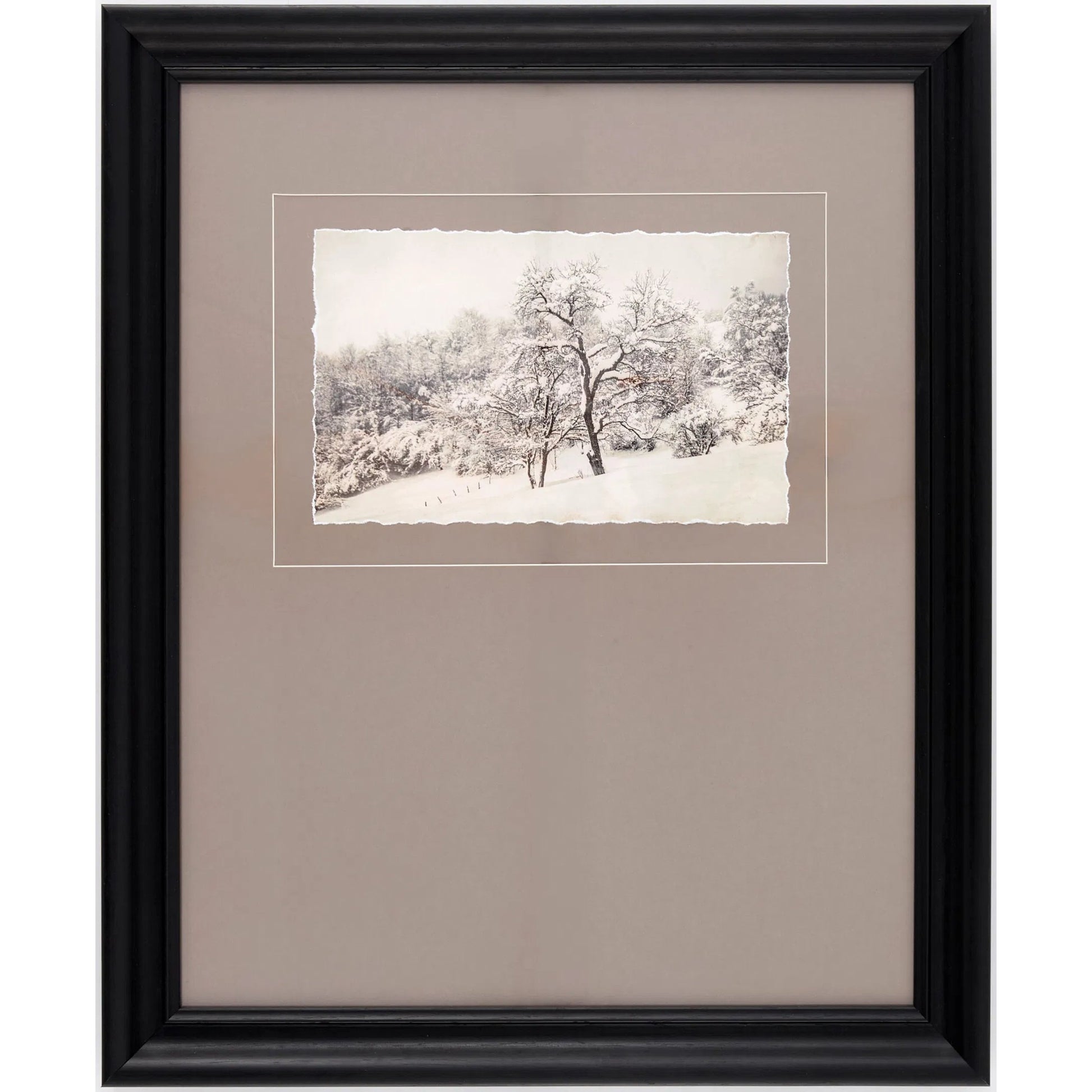 Coconino Framed Art by Surya. Made from canvas, polystyrene in a modern style.