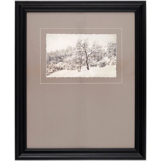 Coconino Framed Art by Surya. Made from canvas, polystyrene in a modern style.