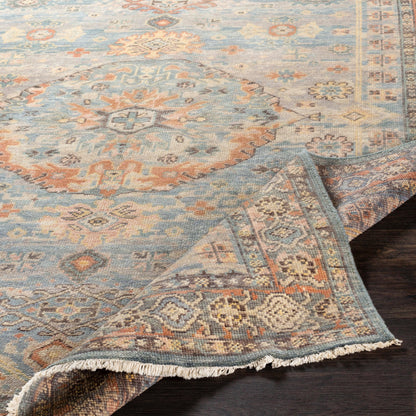 Cappadocia Rug - 22963 by Surya. Made from 100% wool in a unique style.