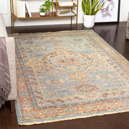 Cappadocia Rug - 22963 by Surya. Made from 100% wool in a unique style.