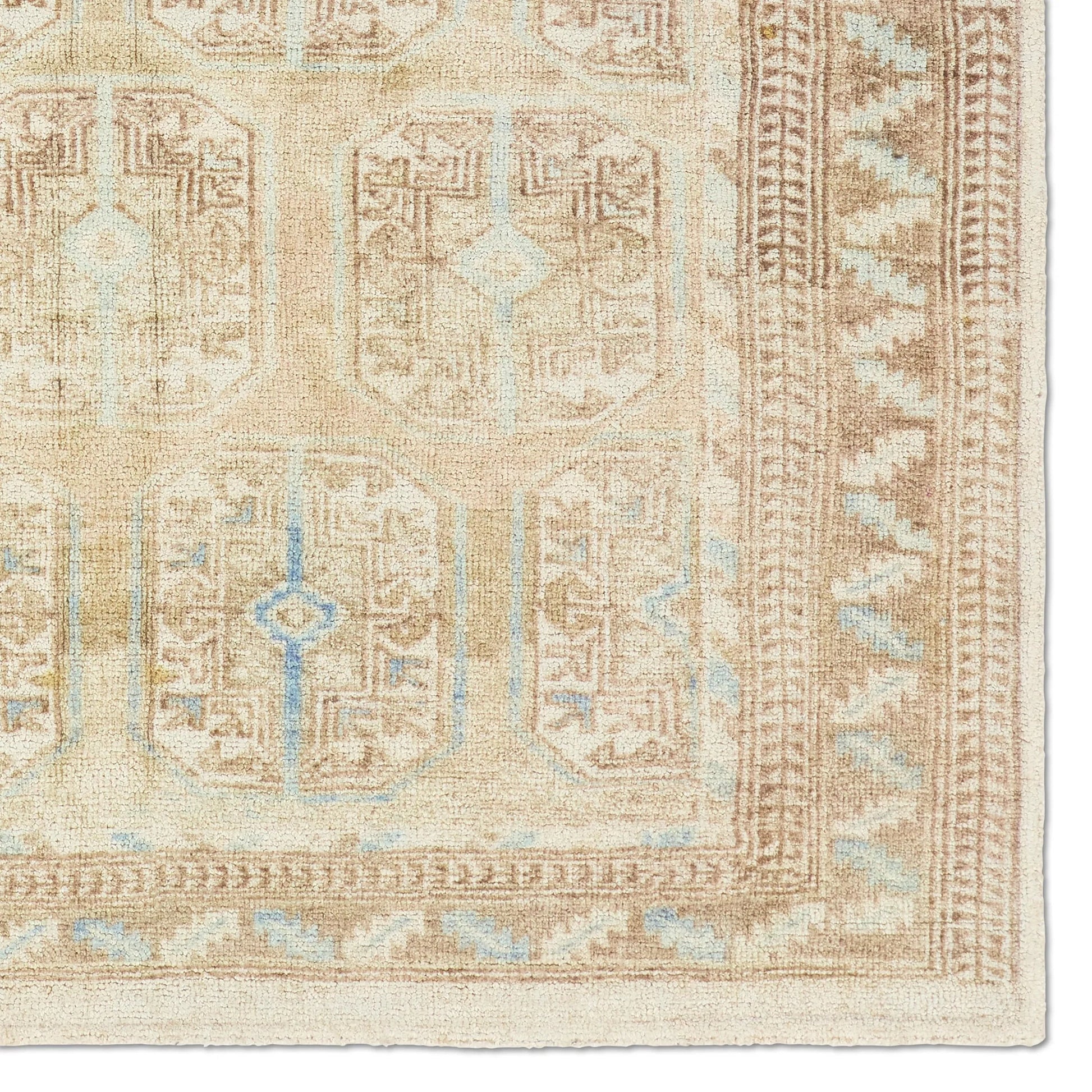Casen CSN02 Rug by Jaipur Living in tan, blue. Made from 100% pet yarn in a unique style.