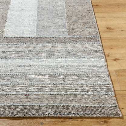 Celtic CTC-2301 Rug by Surya in taupe, sandstone, ash gray, driftwood, pebble. Made from wool in a unique style.