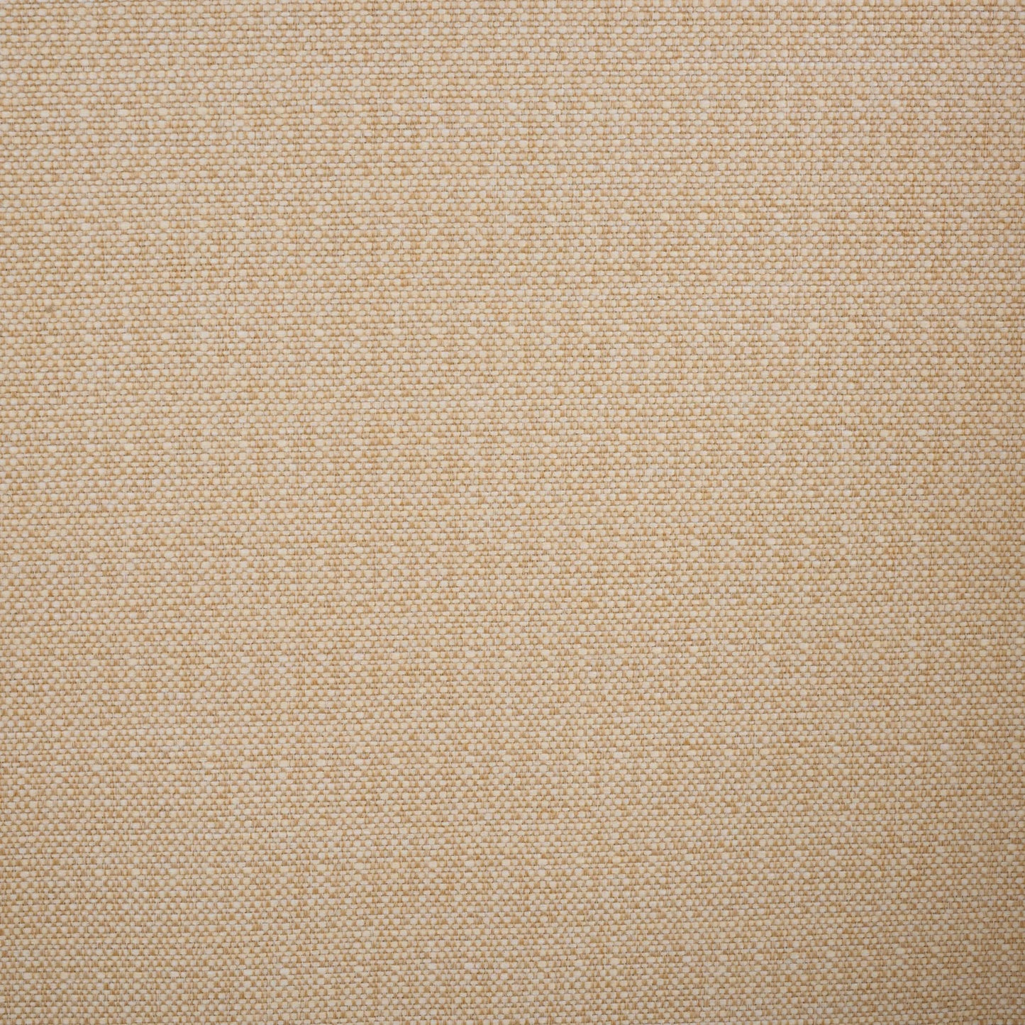 008 SI-2453927 | Closeup | Lees Rattan Dining Chair by HedgeApple Essentials in natural, white. Made from rattan, iron, performance linen (100% polyester), foam (eon white d23) in a rustic style.