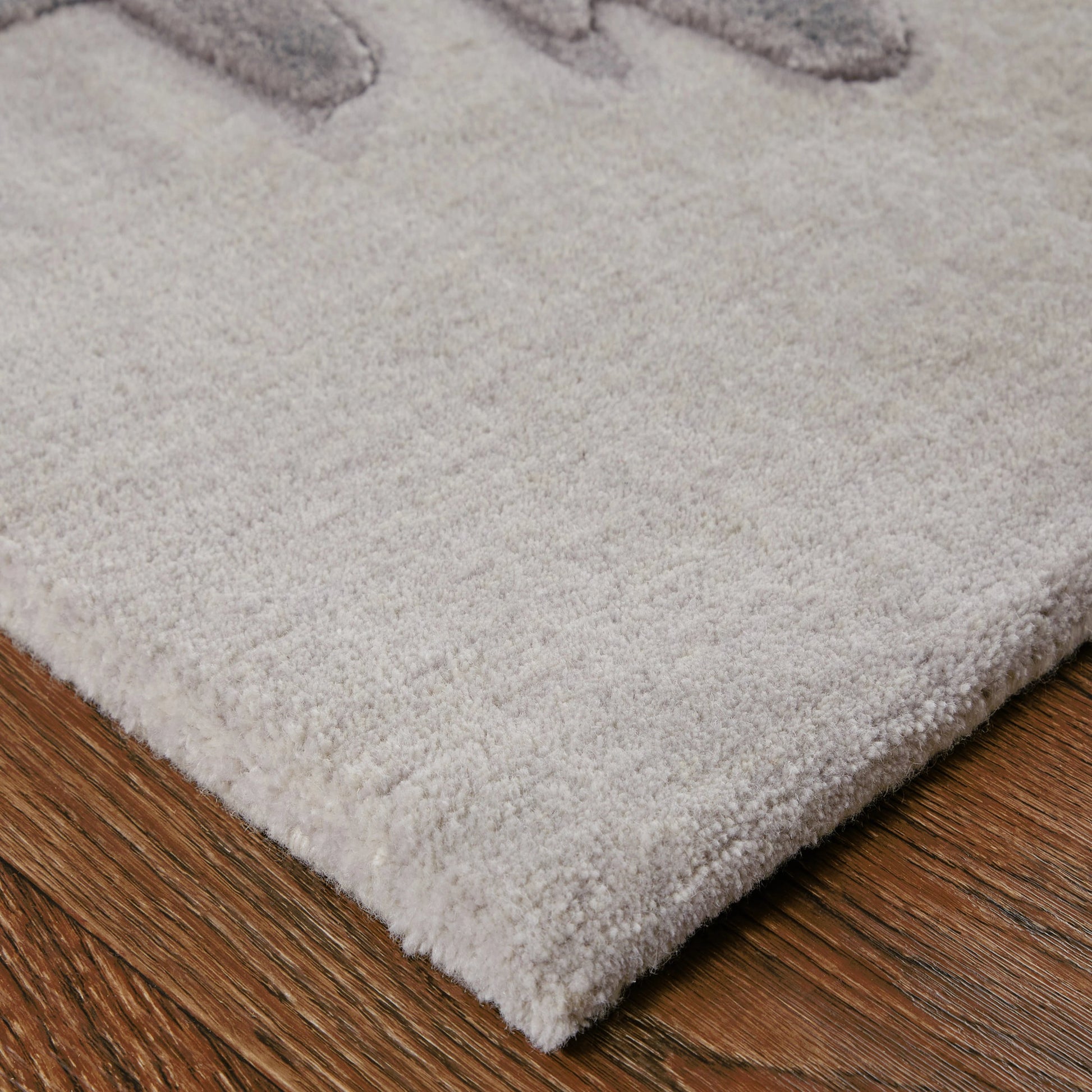 Anya Transitional Rug - 8885F by Feizy. Made from wool, viscose in a unique style.