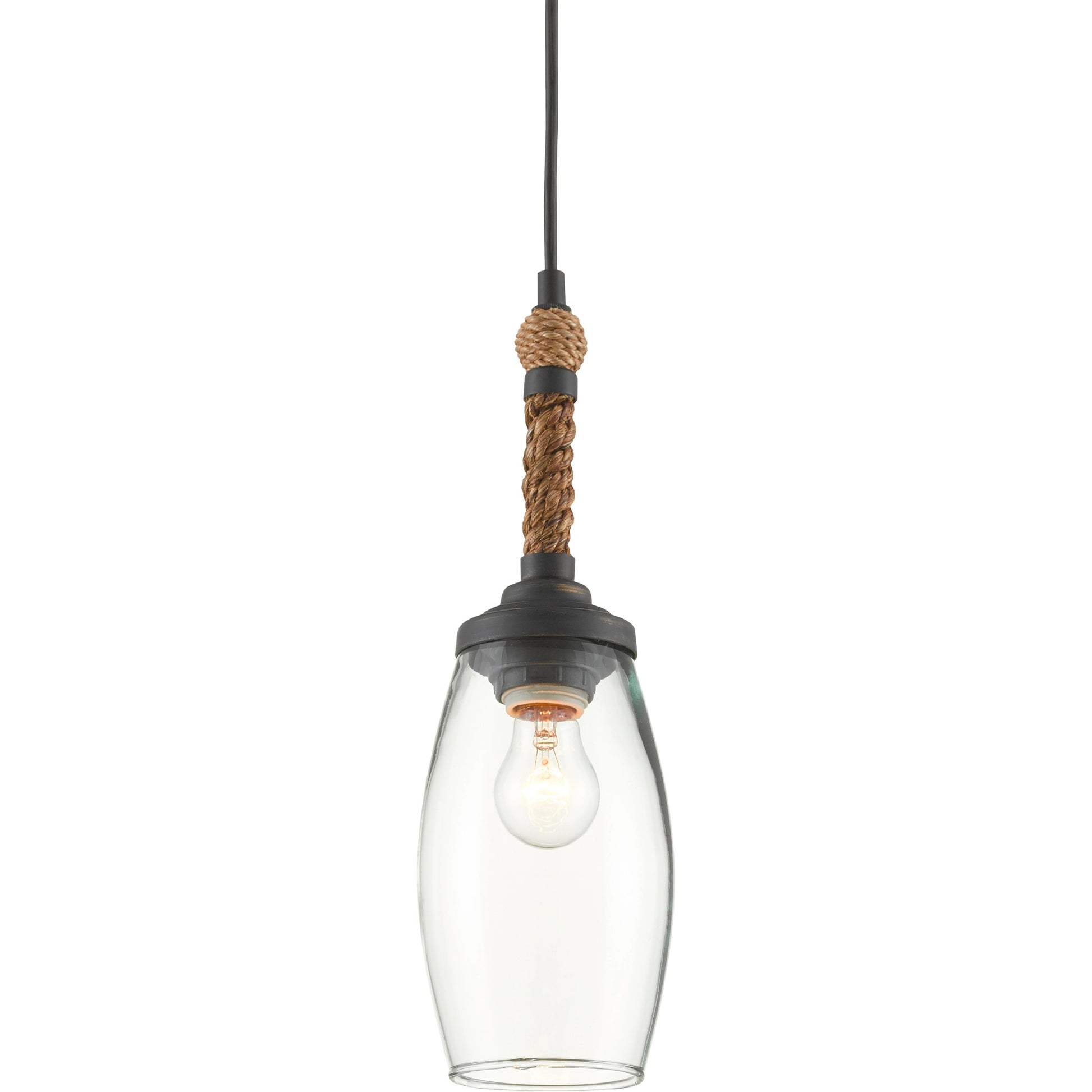 Hightider Pendant by Currey and Company in french black, natural rope. Made from wrought iron, abaca rope, recycled glass in a modern style.
