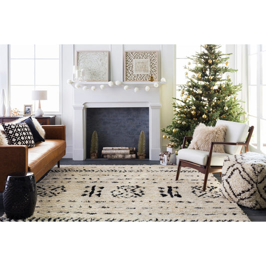 DEN-5000 Rug by Surya in ivory, black. Made from 100% wool in a unique style.