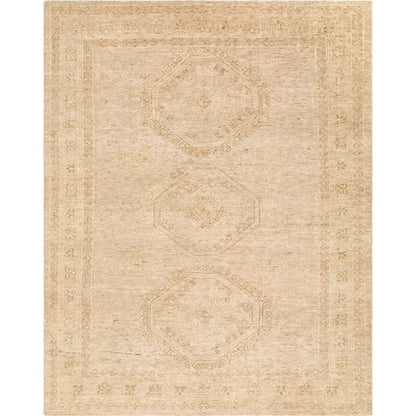 Destiny DEY-2300 Rug by Surya. Made from wool in a unique style.