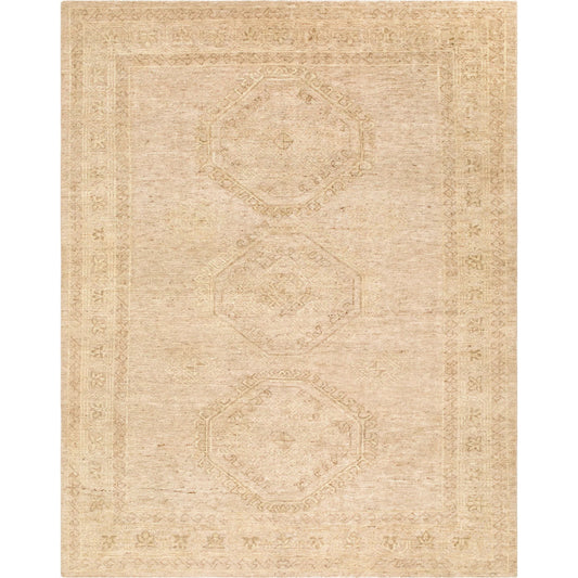 Destiny DEY-2300 Rug by Surya. Made from wool in a unique style.