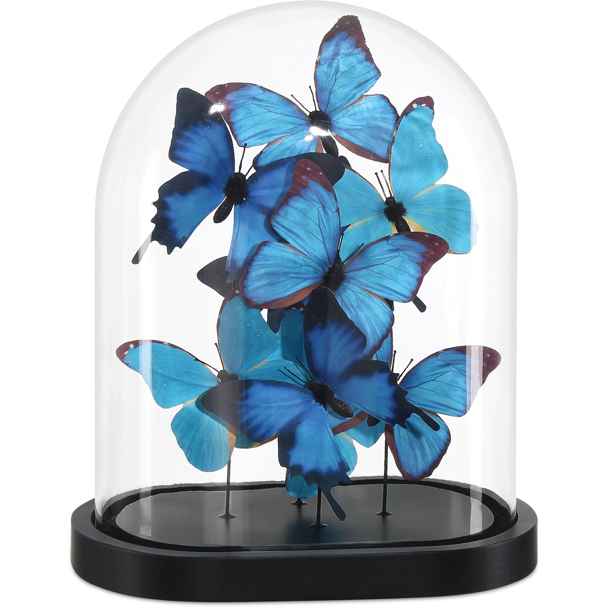 Rue De Bac Butterflies by Currey and Company in blue, black, clear. Made from paper, engineered wood, glass in a modern style.