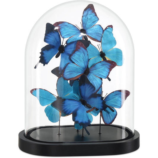 Rue De Bac Butterflies by Currey and Company in blue, black, clear. Made from paper, engineered wood, glass in a modern style.