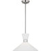 Belcarra Medium Pendant by Visual Comfort & Co.. Made from steel in a unique style.