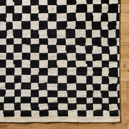 Damier DMI-2301 Rug by Surya. Made from unique in a unique style.