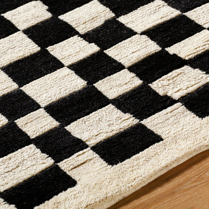 Damier DMI-2301 Rug by Surya. Made from unique in a unique style.