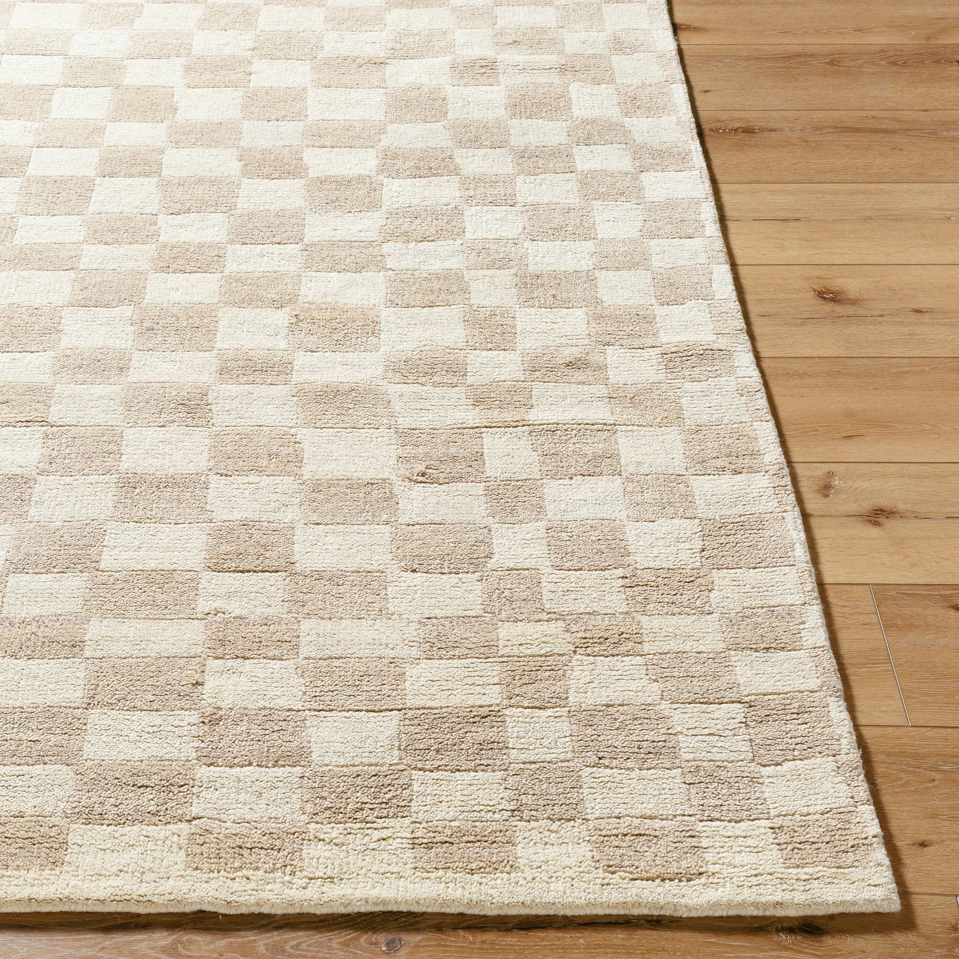 Damier DMI-2301 Rug by Surya. Made from unique in a unique style.