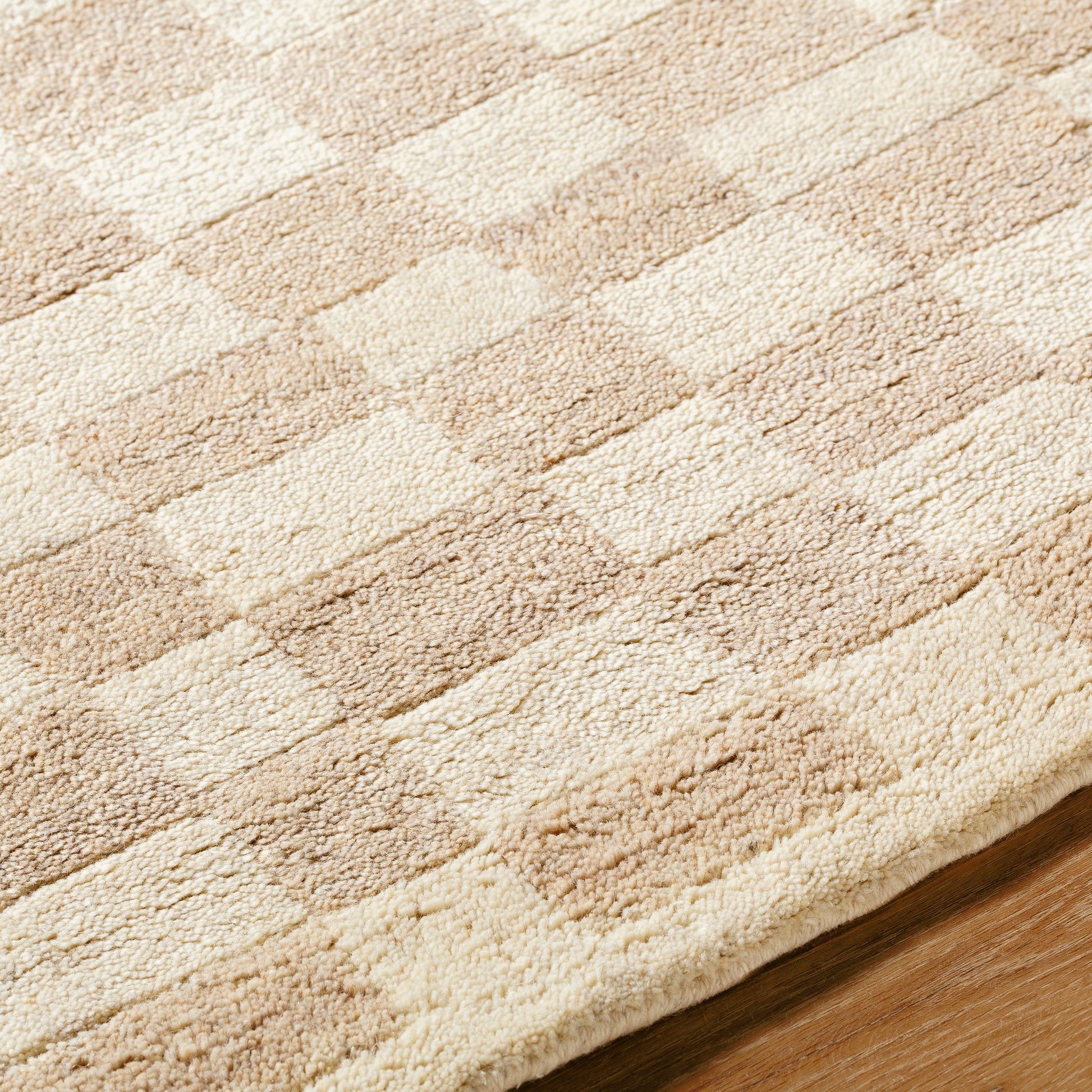 Damier DMI-2301 Rug by Surya. Made from unique in a unique style.