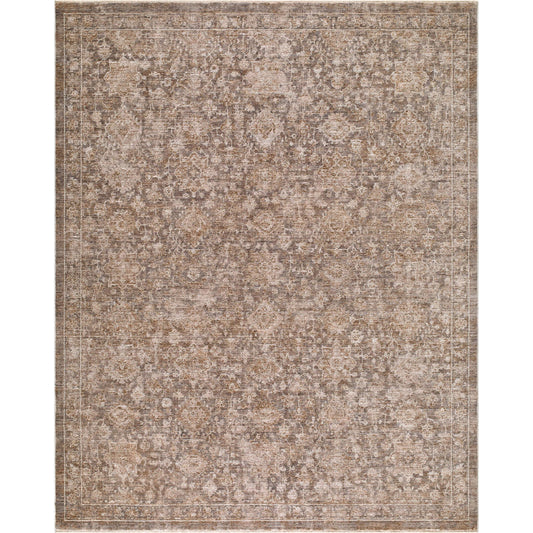 Demre DMM-2301 Rug by Livabliss in taupe, sandstone, sepia, ivory. Made from polyester in a unique style.