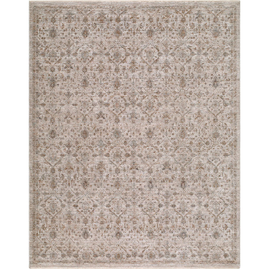 Demre DMM-2304 Rug by Livabliss in taupe, sandstone, ivory, charcoal. Made from polyester in a unique style.