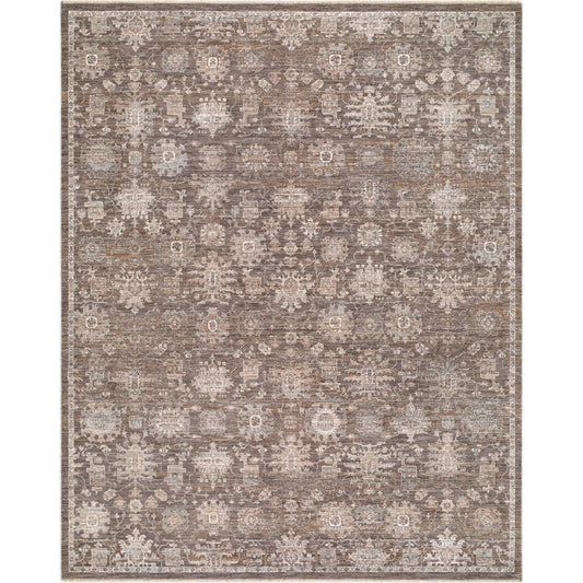 Demre DMM-2305 Rug by Livabliss in taupe, ivory, charcoal, slate gray, dusty brown. Made from polyester in a unique style.