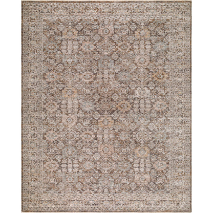 Demre DMM-2309 Rug by Livabliss. Made from polyester in a unique style.