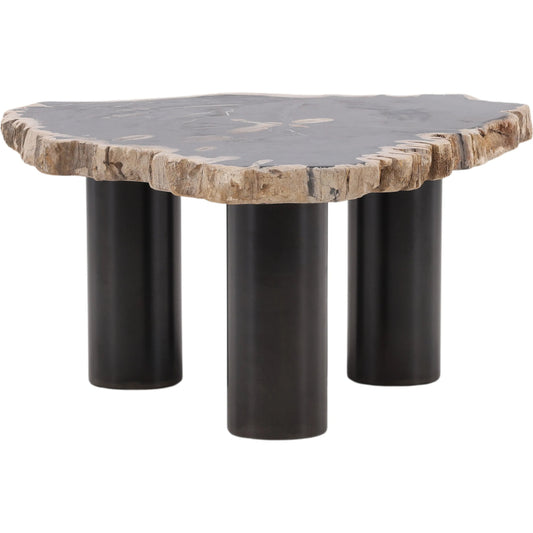 Darnell Coffee Table by Arch & Plane in natural, black. Made from petrified wood, iron in a unique style.