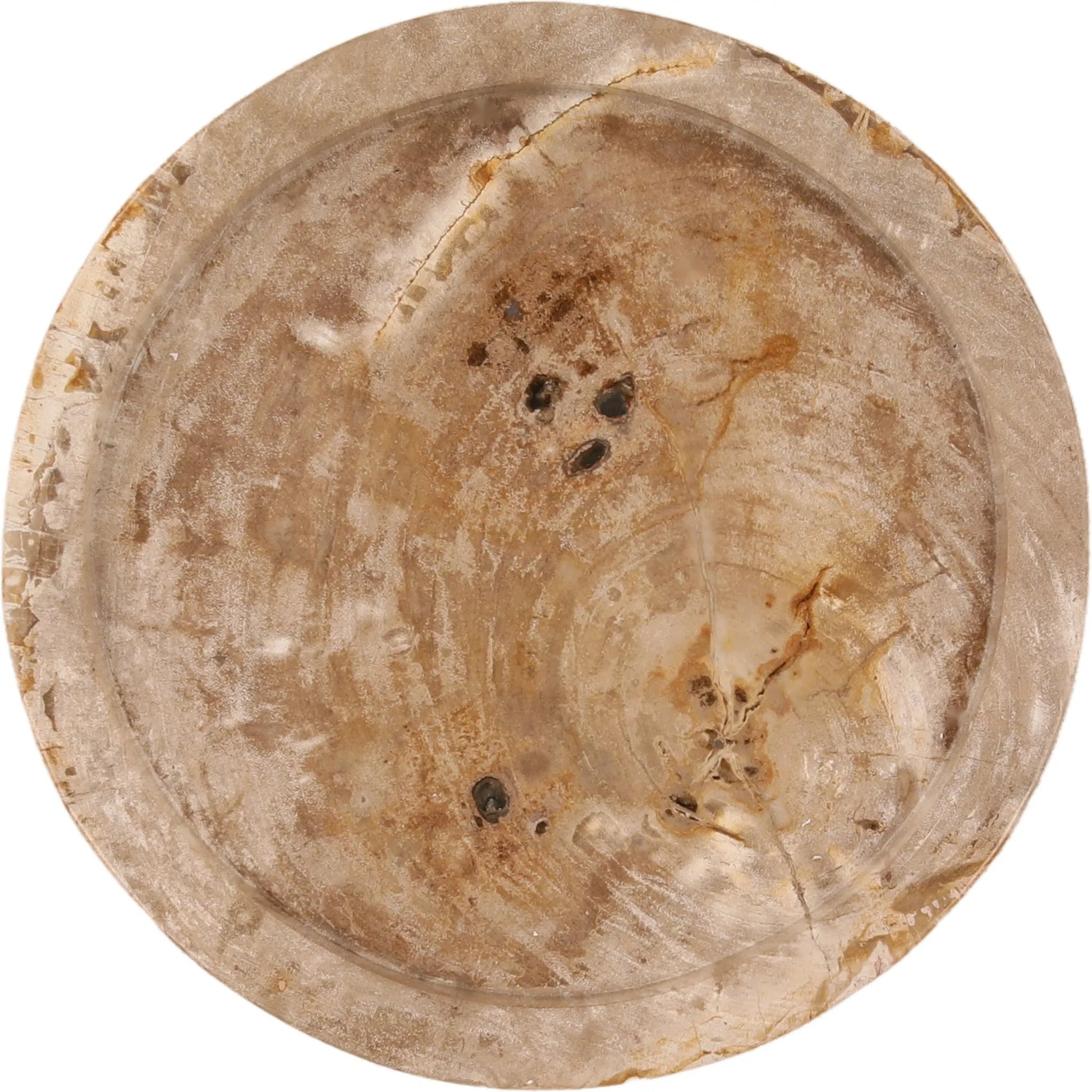Kathy Tray by Arch & Plane in light natural. Made from petrified wood in a unique style.