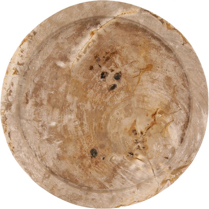 Kathy Tray by Arch & Plane in light natural. Made from petrified wood in a unique style.