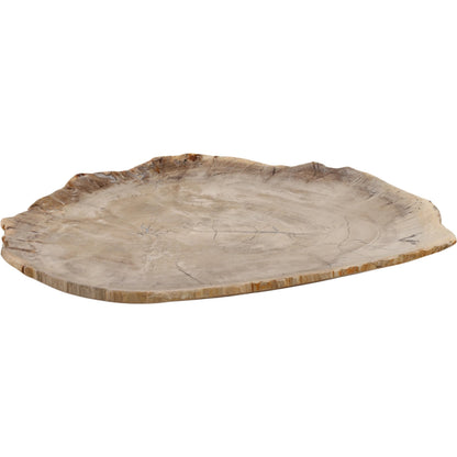 Lowell Tray by Arch & Plane in light natural. Made from petrified wood in a unique style.