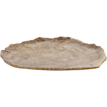 Lowell Tray by Arch & Plane in light natural. Made from petrified wood in a unique style.