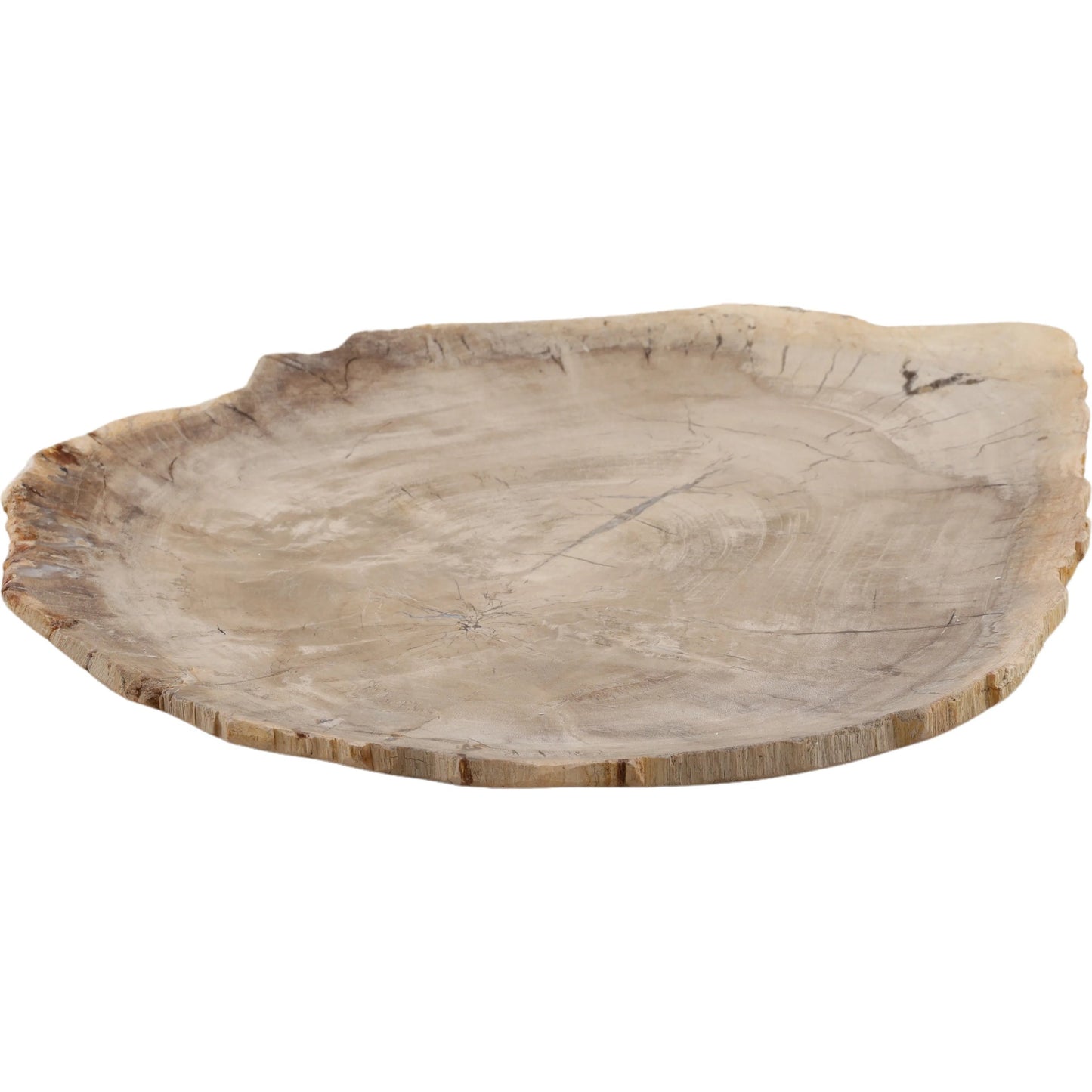 003 SI-2532850 | Additional Silo | Lowell Tray by Arch & Plane in light natural. Made from petrified wood in a unique style.