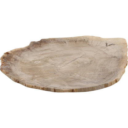 Lowell Tray by Arch & Plane in light natural. Made from petrified wood in a unique style.