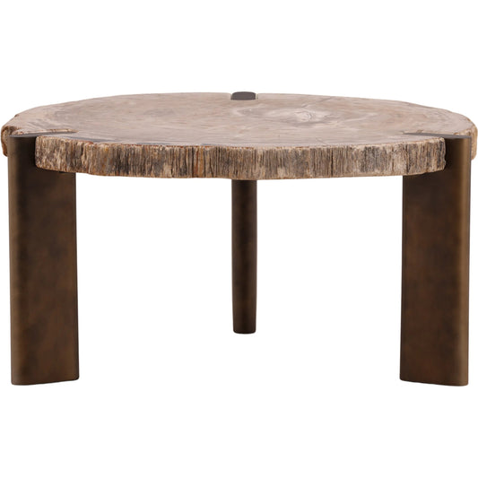 Maddison Coffee Table by Arch & Plane in light natural, bronze. Made from petrified wood, stainless steel in a unique style.
