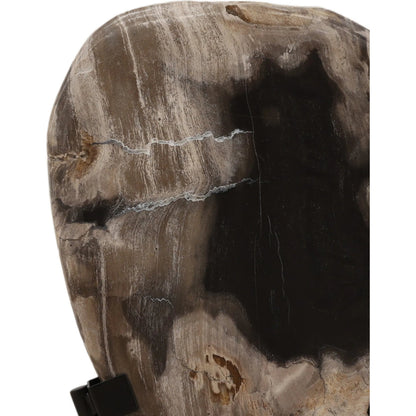Taya Sculpture by Arch & Plane in black. Made from petrified wood, iron in a unique style.