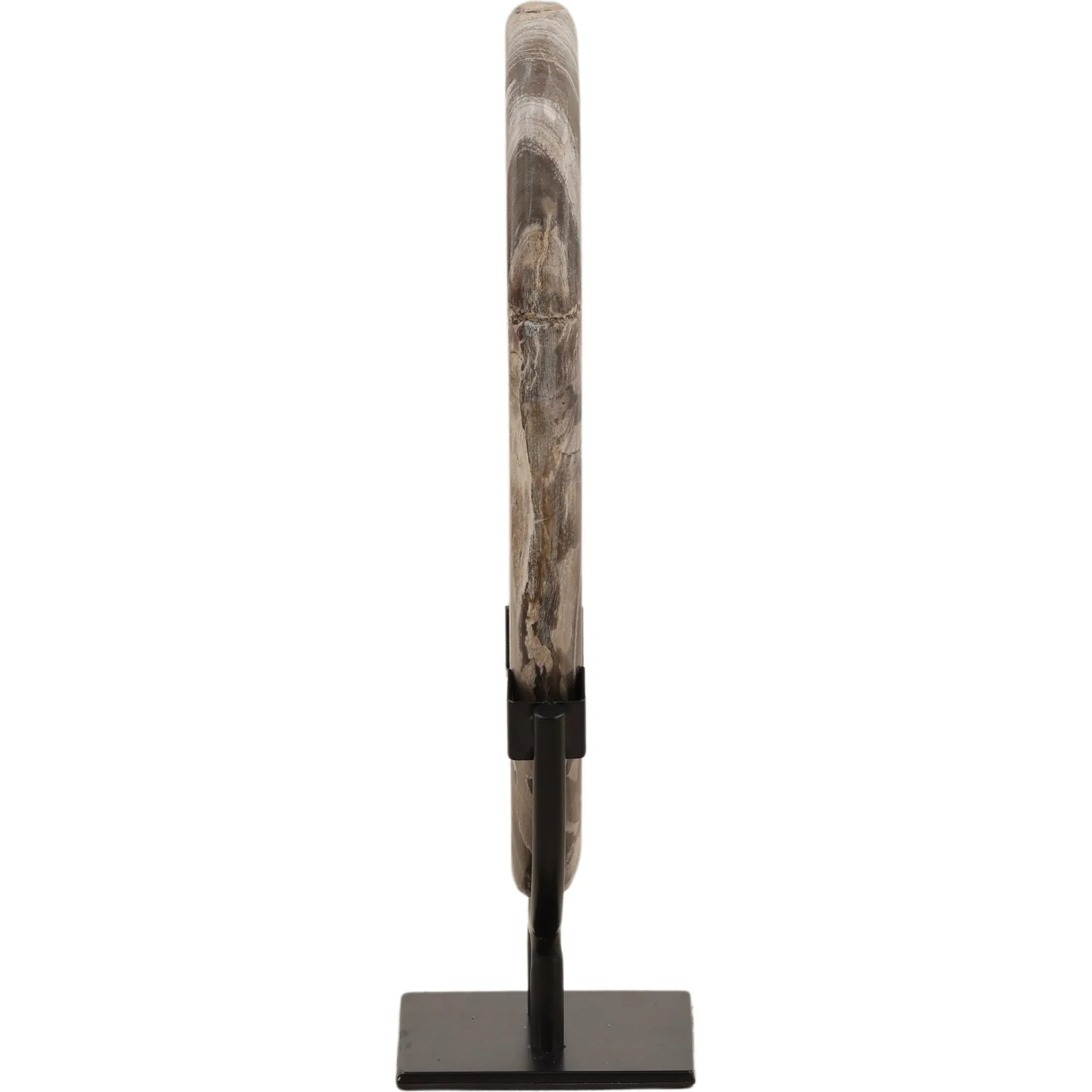 Taya Sculpture by Arch & Plane in black. Made from petrified wood, iron in a unique style.
