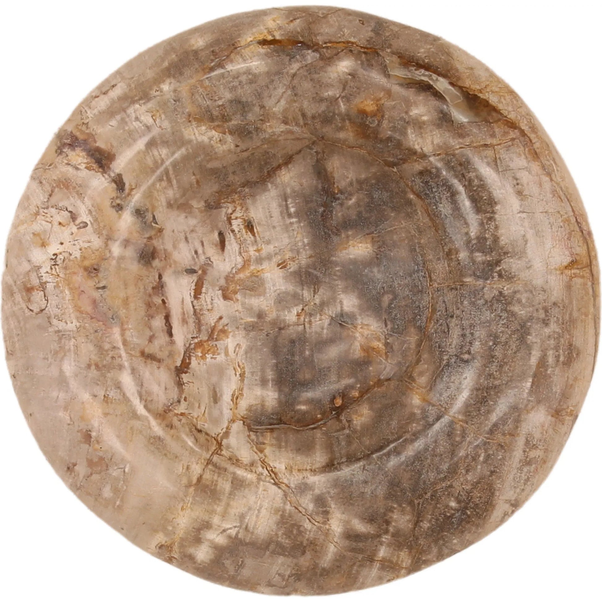 Leanna Tray by Arch & Plane in natural. Made from petrified wood in a unique style.