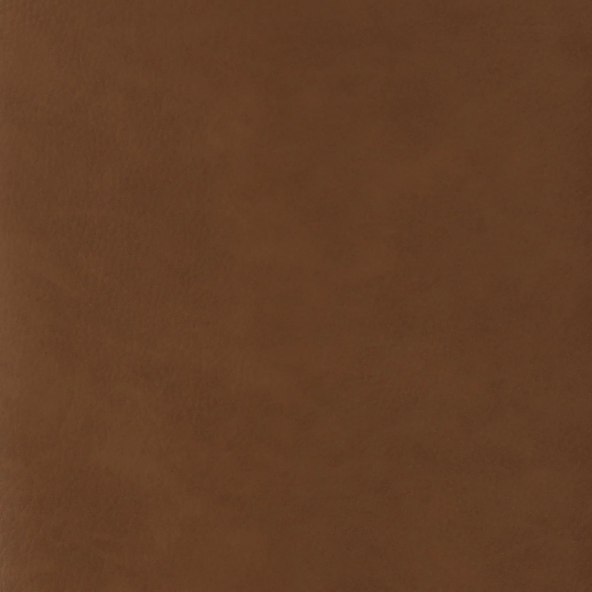 Dakota Dining Chair (Set of 2) by Arch & Plane in cognac. Made from vegan leather, iron in a traditional style.