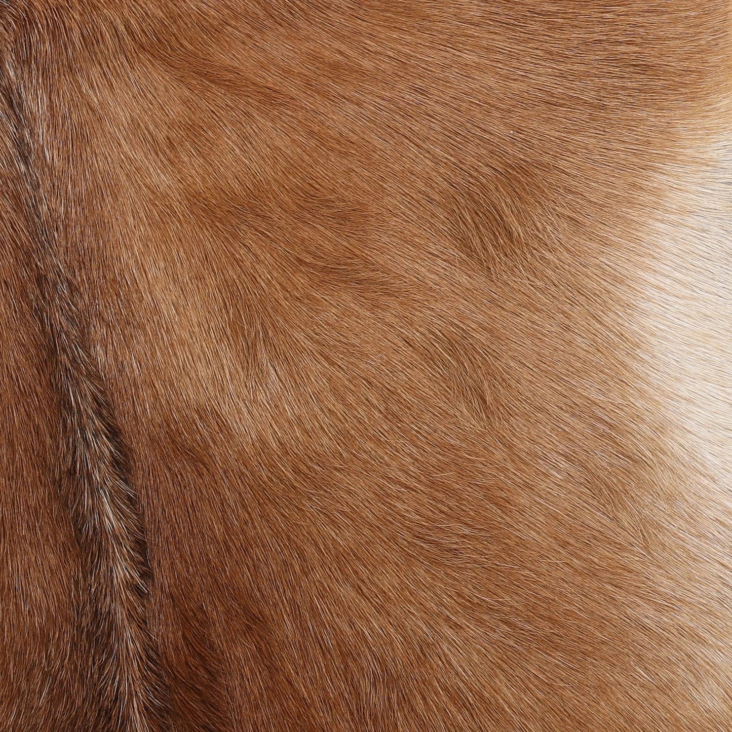 005 SI-2532961 | Closeup | Jonnie Occasional Chair by Arch & Plane in brown, white. Made from goat hide, teak wood in a unique style.