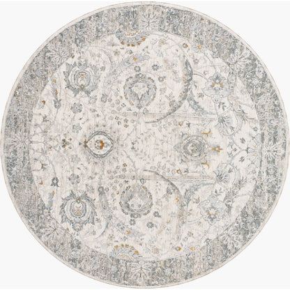 Dresden DRE-2326 Rug by Livabliss. Made from main: 100% polyester in a unique style.